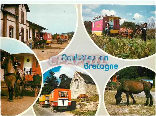 Cartes postales moderne Couleurs de Bretagne Randonnees de roulottes en Bretagne interieure