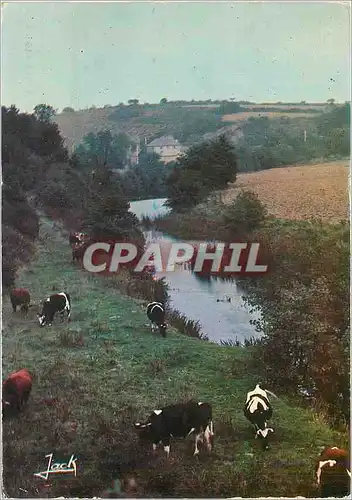 Cartes postales moderne Bretagne Pittoresque Paysage breton