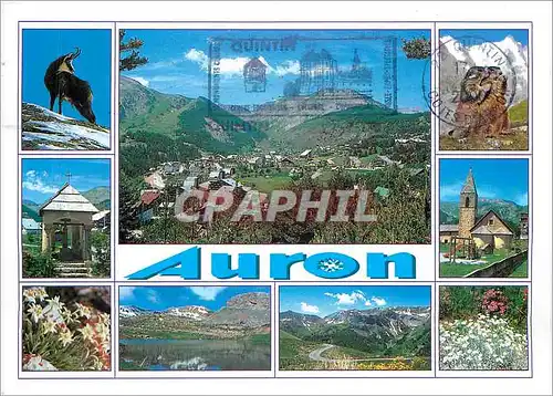 Cartes postales moderne Auron Alpes Maritimes Station Ete Hiver
