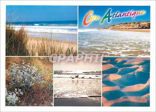 Cartes postales moderne Cote Atlantique