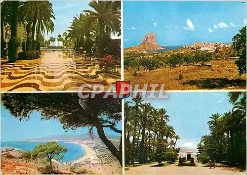 Cartes postales moderne Costa Blanca Alicante Benidorm