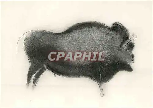 Cartes postales moderne Les Eyzies Dordogne Grotte de Font de Gaume Bison polychrome