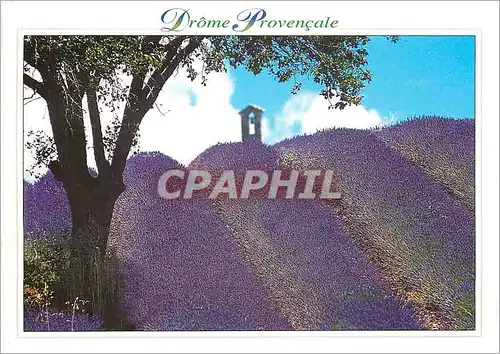 Cartes postales moderne Drome Provencale