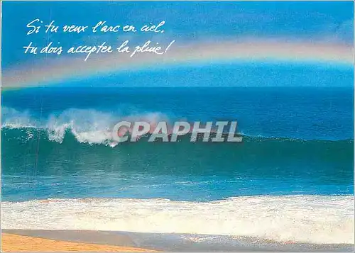 Cartes postales moderne Houtland