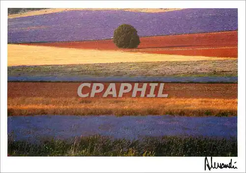 Cartes postales moderne Images Lumieres Provence Equilibre