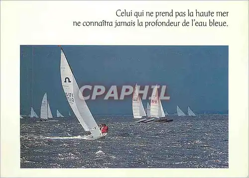 Cartes postales moderne Celui qui ne prend pas la haute mer ne connaitra jamais la profondeur de l'eau blueu