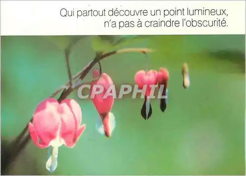 Cartes postales moderne Qui partout decouvre un point lumineux n'a pas a craindre l'obscurite