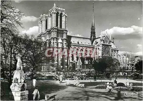 Cartes postales moderne Paris Notre Dame et Square Viviani