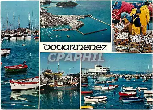 Cartes postales moderne Douarnenez grand port de peche Langoustiers et thoniers a quai Le port de Rosmeur