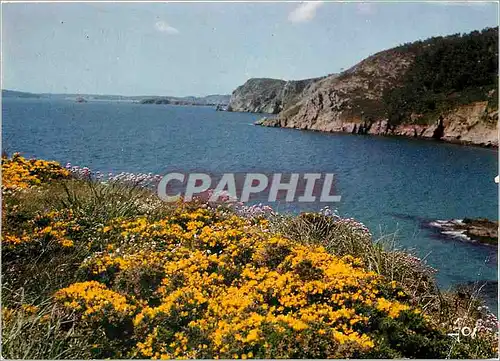 Cartes postales moderne Telgruc Les falaises du Guern