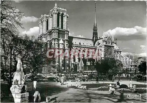 Cartes postales moderne Paris Notre Dame et Square Viviani