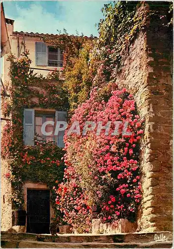 Cartes postales moderne Bormes les Mimosas Var Prix des Villages Fleuris de France Un coin typiquement provencal
