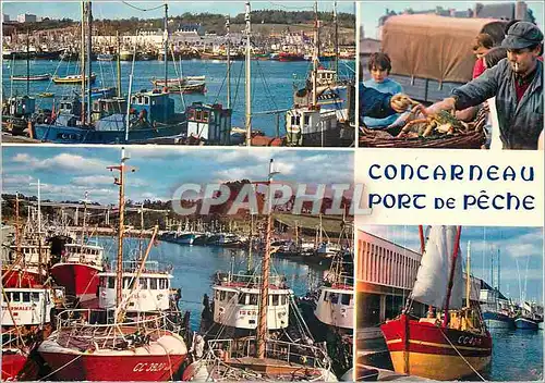 Cartes postales moderne Concarneau Le port de peche et son animation