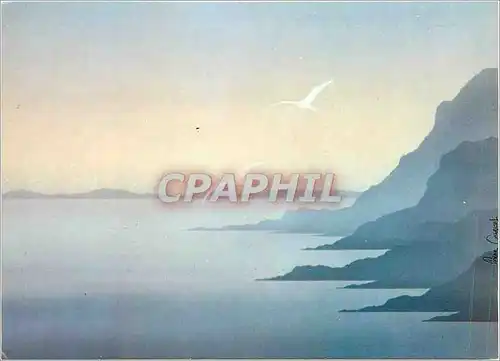 Cartes postales moderne Pierre Converset Les Mouettes The gulls