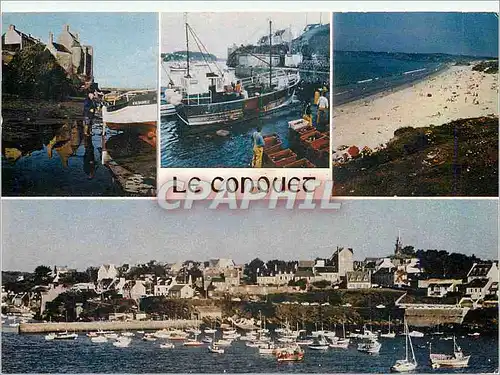 Cartes postales moderne Le Conquet Finistere L'Arriere port