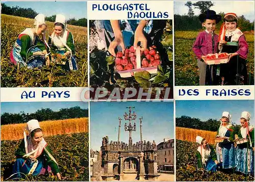 Cartes postales moderne Plougastel au Pays des Fraises