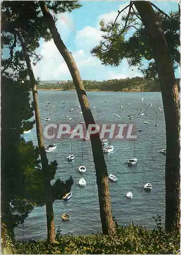 Cartes postales moderne Dinard Baie du Prieure