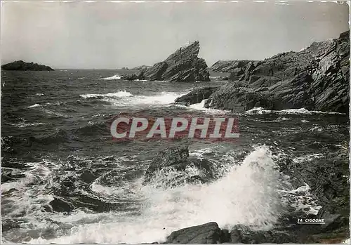 Cartes postales moderne Quiberon Morbihan La Cote sauvage a la pointe de Kervihan