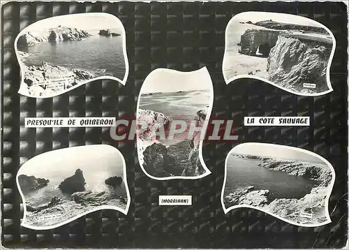 Cartes postales moderne Presqu'ile de Quiberon La Cote Sauvage