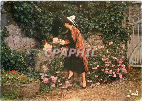 Cartes postales moderne Folklore de Bretagne Jeune Fille en Costome du Tregor