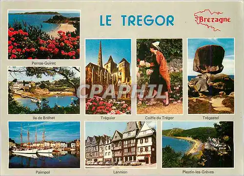 Cartes postales moderne Le Tregor Bretagne