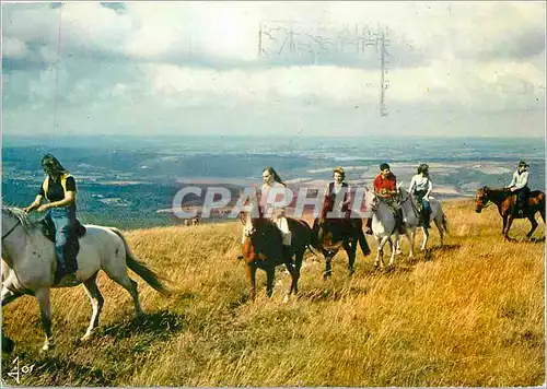 Cartes postales moderne Equitation Chevaux