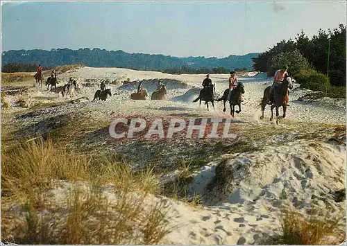 Cartes postales moderne La Bretagne Pittoresque Galop dans les Dunes