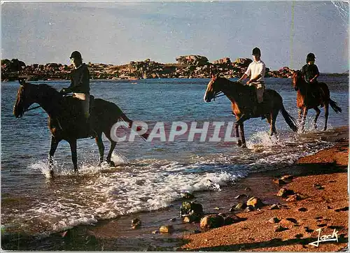 Cartes postales moderne Promenade equestre sur le cote