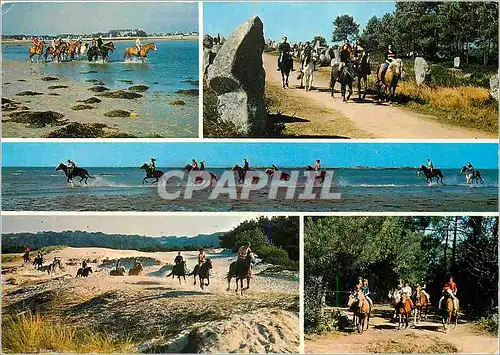 Cartes postales moderne En Bretagne Equitation