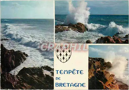 Cartes postales moderne Tempete de Bretagne