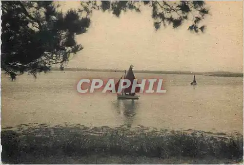 Cartes postales moderne Maison de Famille des Petites Soeurs de St Fracois d'Assise Ile Berder Morbihan