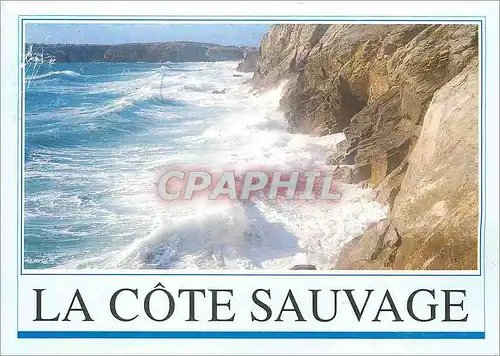 Cartes postales moderne La Cote Sauvage