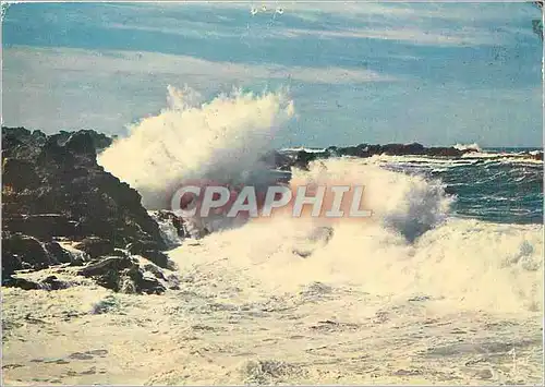 Cartes postales moderne Tempete en Bretagne Houte de suroit sur la cote