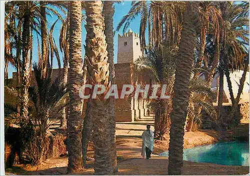 Moderne Karte Oasis du Sud Tunisien