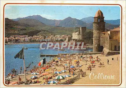 Cartes postales moderne Lumiere et Couleurs de la cote Catalane Collioure La plage