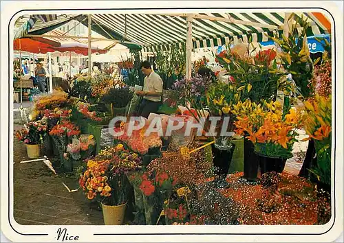 Cartes postales moderne Reflets de la Cote d'Azur Nice A Mmes Le Marche aux Fleurs