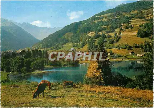 Cartes postales moderne Aux environs d'Allevard les Bains Fond de France au Fond Pleynet