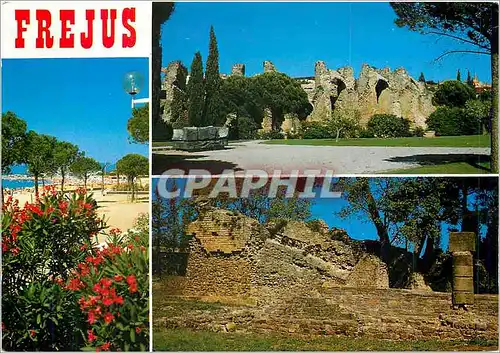 Cartes postales moderne Frejus