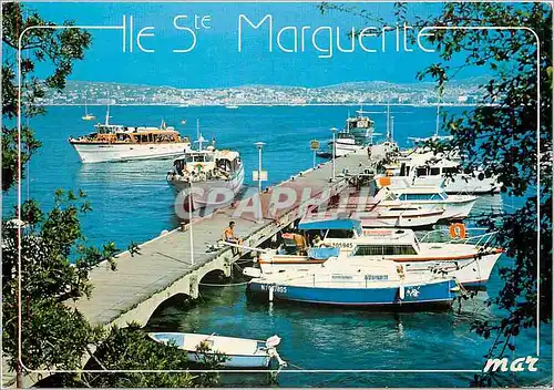 Cartes postales moderne Ile Ste Marguerite Le derbarcadere