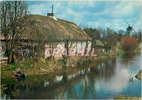 Cartes postales moderne La Vendee Pittoresque Bourrine et moulin dans le marais