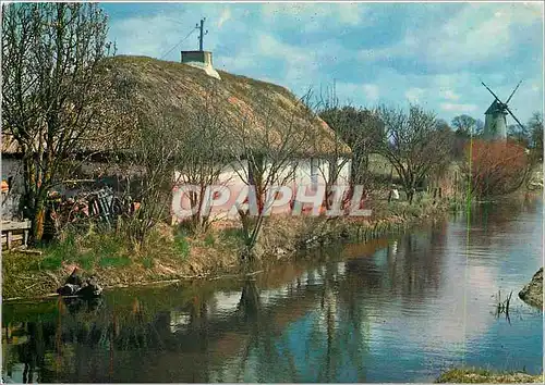 Moderne Karte La Vendee Pittoresque Bourrine et moulin dans le marais