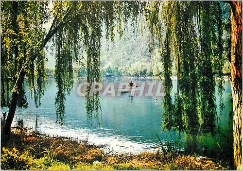 Moderne Karte Le Lac des Mimosas Peche Sportive Route de Mandelieu