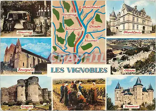 Cartes postales moderne Les Vignobles