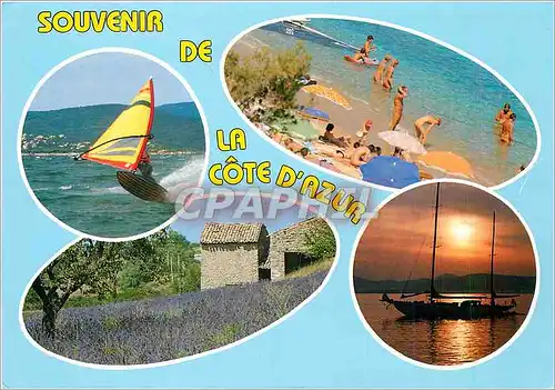 Cartes postales moderne Souvenir de La Cote d'Azur