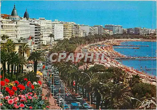 Cartes postales moderne La Cote d'Azur Cannes AM La Croisette la plage et les Palaces