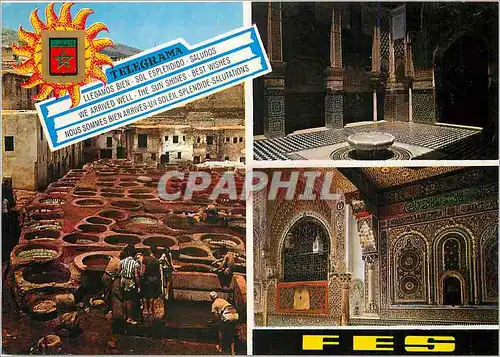 Cartes postales moderne Fes