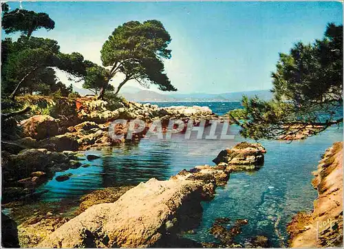 Cartes postales moderne La Cote d'Azur Miracle de la Nature Ile Saint Honorat AM Calanque des Boeufs