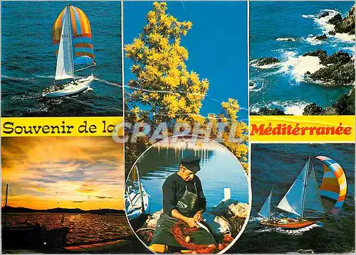 Cartes postales moderne Souvenir de la Mediterranee