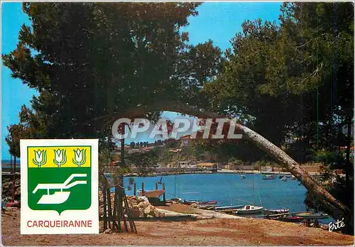 Cartes postales moderne Cote d'Azur Carqueiranne Le Port des Salettes vu des lameux
