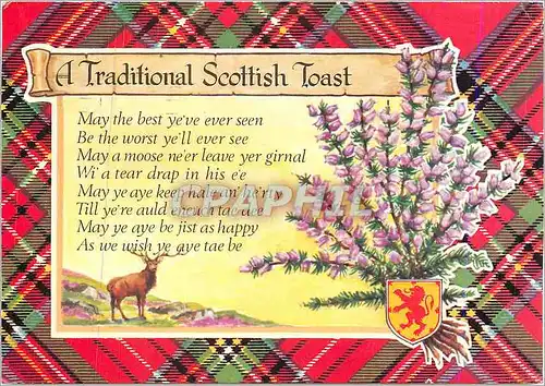 Cartes postales moderne Scottish Toast